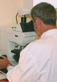 Dr. Jean-François COLLET